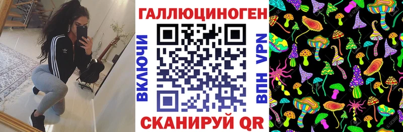 где найти   Дмитриев  Псилоцибиновые грибы Psilocybine cubensis 