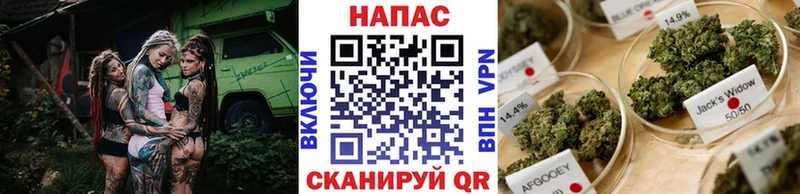 Бошки Шишки AK-47  Дмитриев 